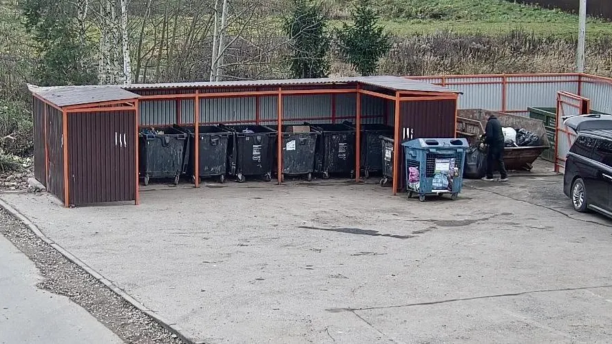 Камеры за неделю выявили 153 случая сброса отходов из автомобилей в Подмосковье