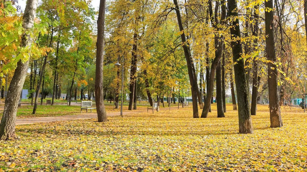 В Королеве завершилось благоустройство парка усадьбы Крафта