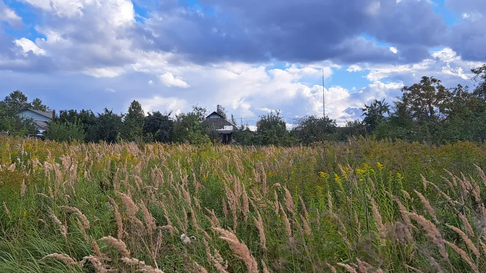 На торгах в Ступине выставлено свыше 100 участков под строительство дома