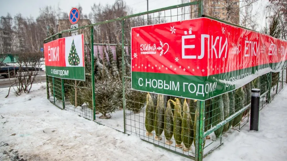 Елочные базары заработают в Одинцовском округе 20 декабря