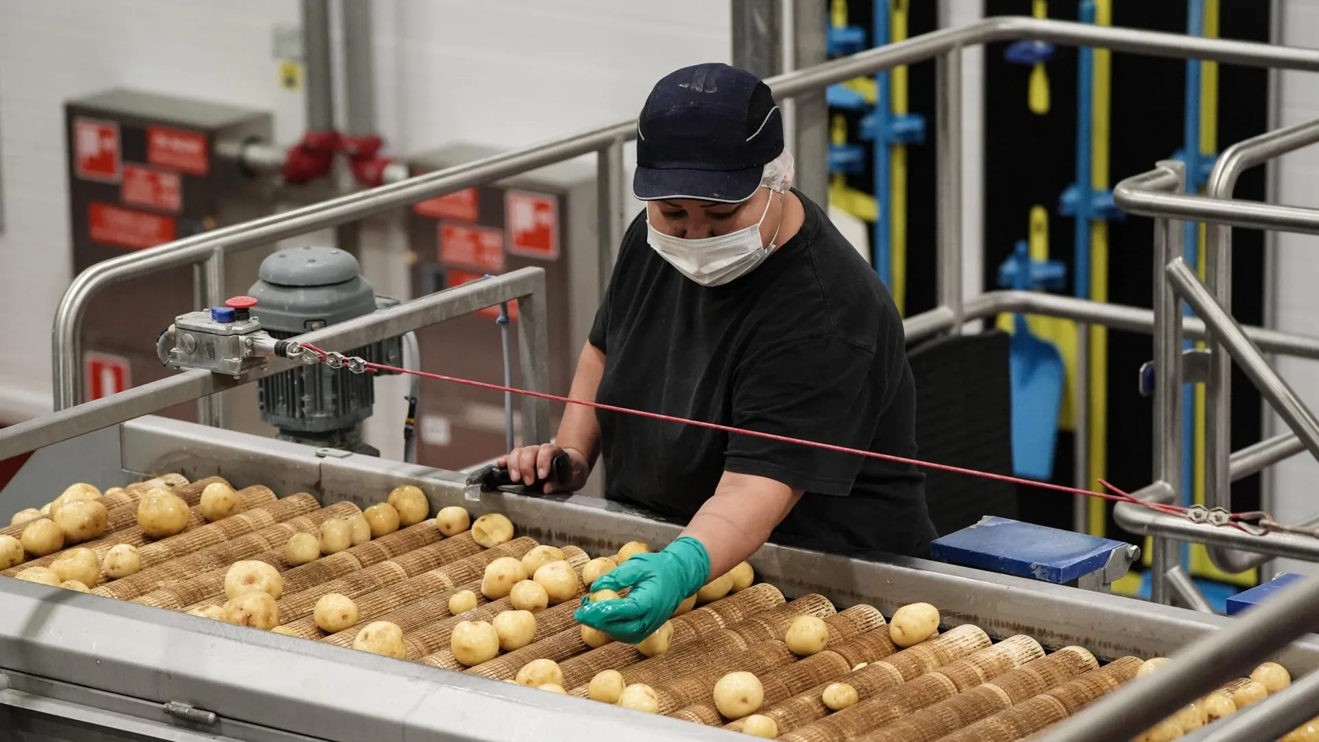 В Подмосковье подготовят производство чипсов к новому ГОСТу