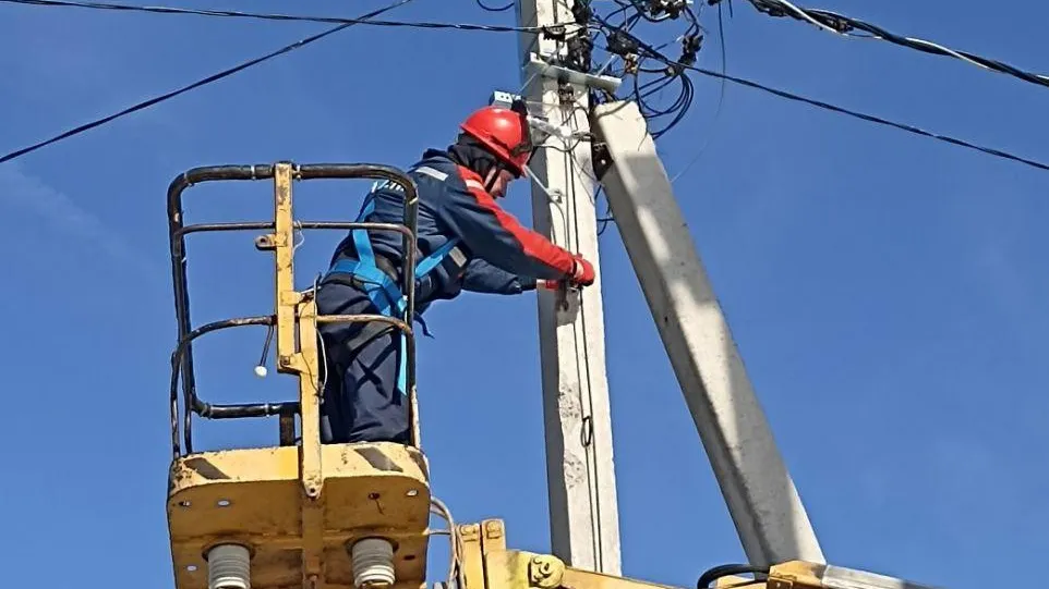Птицезащитные устройства для гнезд аистов установили на опорах ЛЭП в Можайском округе