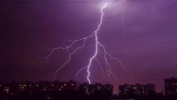 В Люберцах дерево упало на жилой дом во время урагана