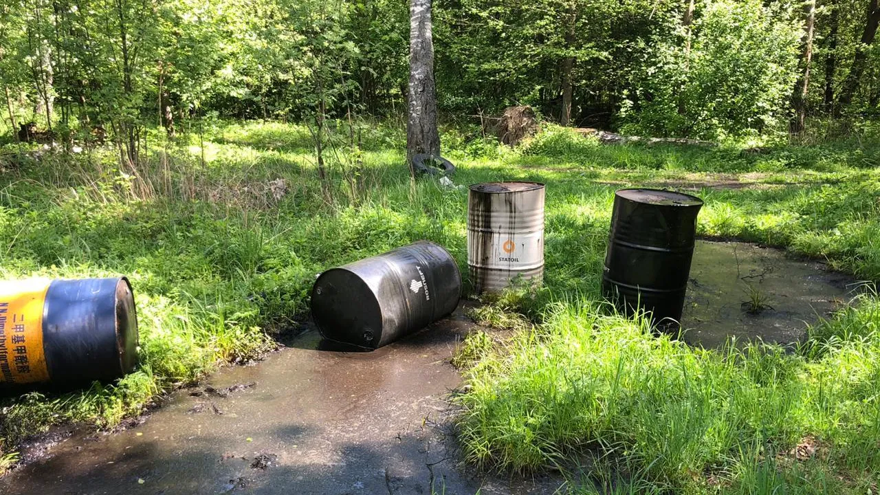 Разлив автомобильного масла ликвидировали в лесной зоне Люберец