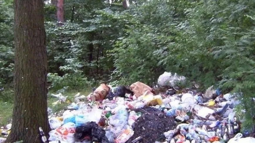 В лесах Подмосковья устранили свыше 800 навалов мусора с января