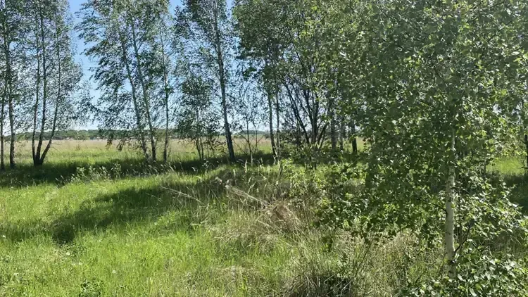Более 80 аукционов провели в Подмосковье в последнюю неделю лета