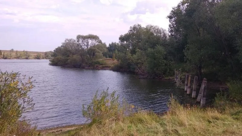 Аварийную плотину капитально отремонтируют в Зарайске