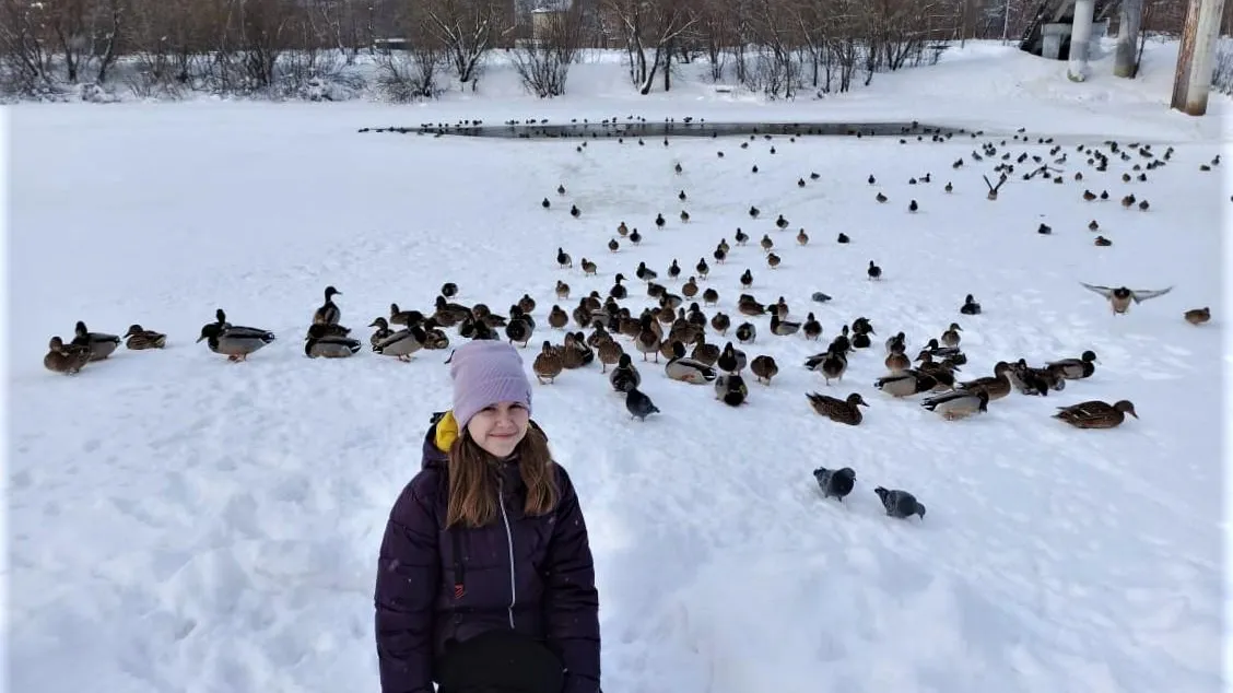 Школьные лесничества Подмосковья помогли орнитологам посчитать уток в регионе