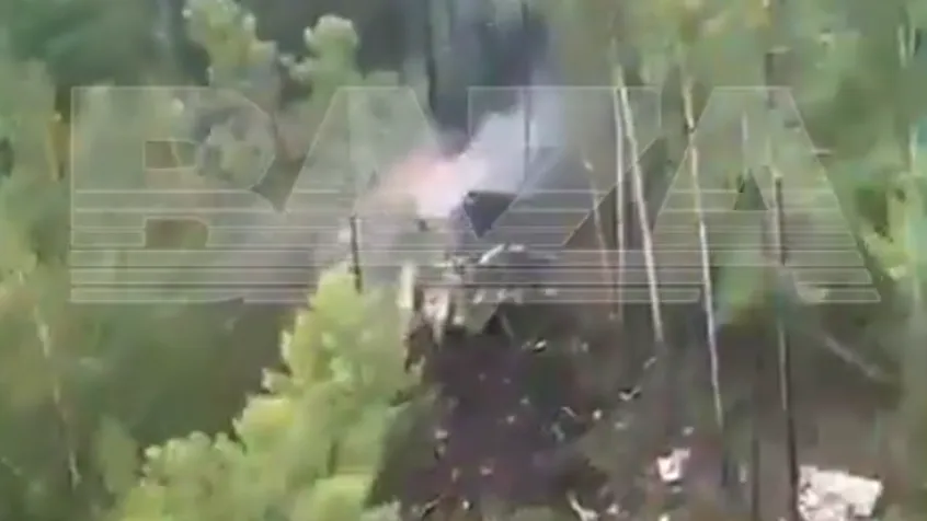 Baza опубликовала видео c места крушения Ан-24 в Амурской области