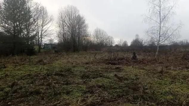 В Можайском округе на торгах реализовали самый бюджетный участок
