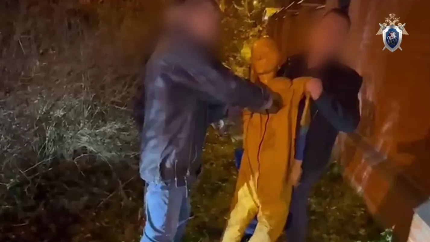 Заколол шилом из-за наследства: мужчина убил племянника в Пушкине