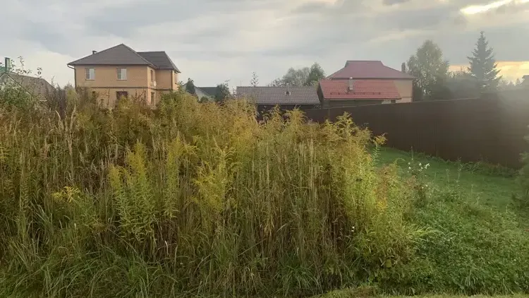 В Подмосковье провели 61 земельно-имущественный аукцион за неделю