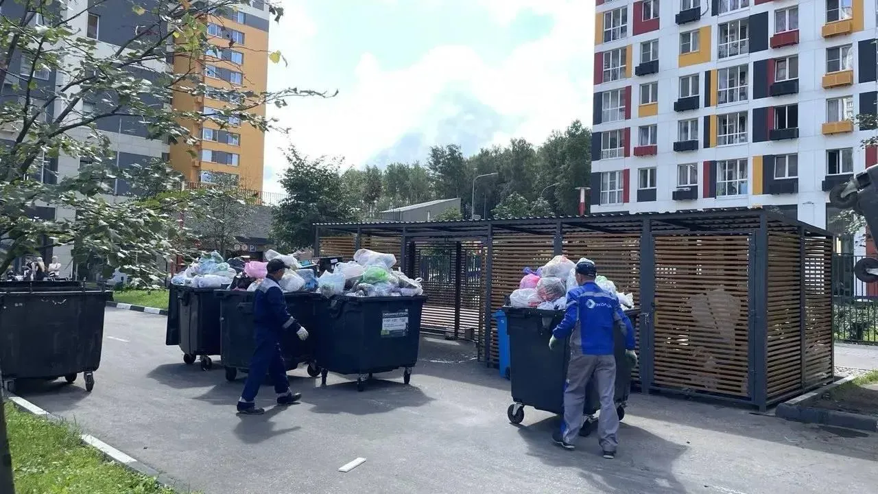 В Подмосковье за неделю обновили 132 контейнера для отходов