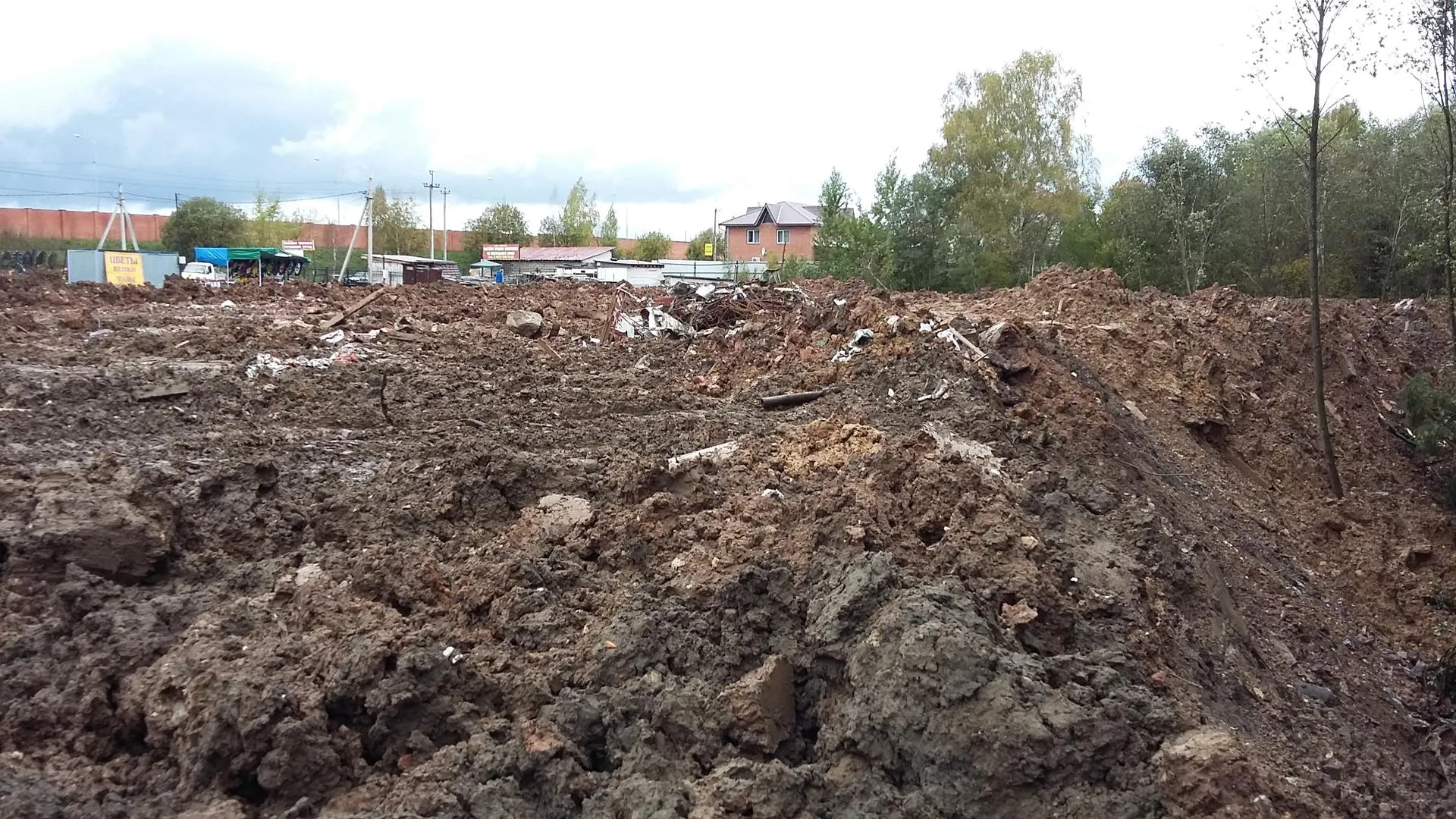 Компанию оштрафовали на 150 тыс руб за свалку в деревне Еремино Мытищ