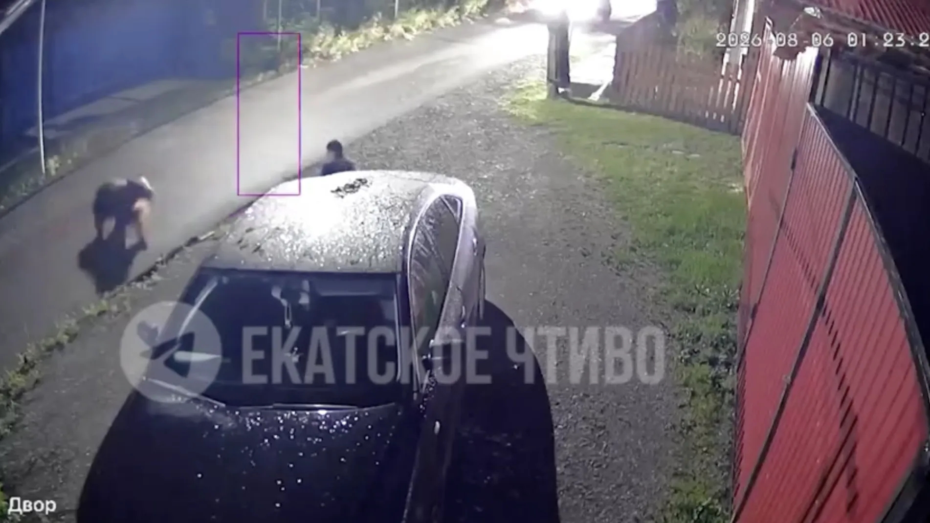 «О*****, падла?»: житель Ивделя обложил матом побежавшую на него медведицу