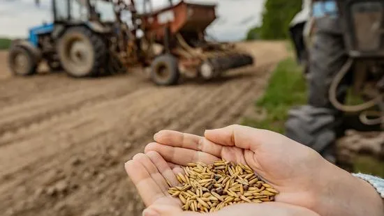 Экспорт сельхозпродукции из Подмосковья в Казахстан вырос более чем на четверть