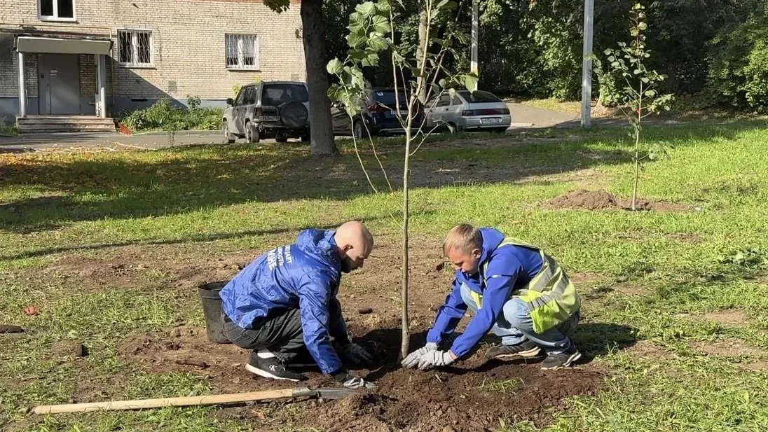 В Электростали высадили 32 дерева и 80 кустарников