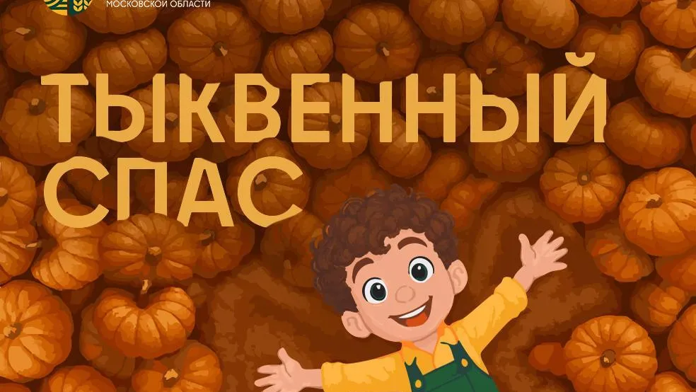 В Подмосковье выросло производство овощей открытого грунта