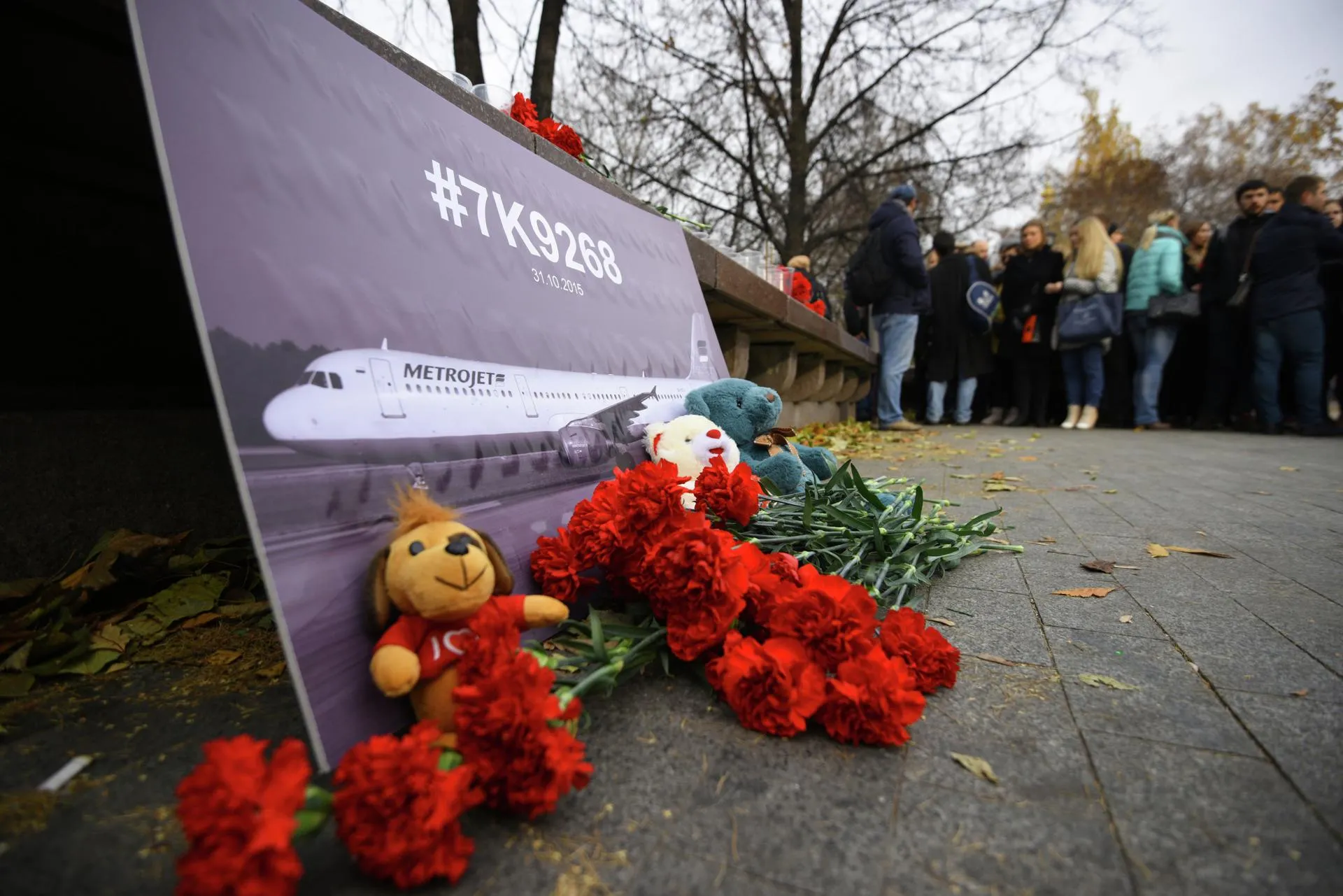 Александр Кожохин