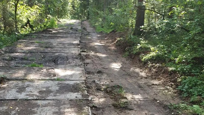 Незаконное строительство остановили на природной территории в Дмитровском округе
