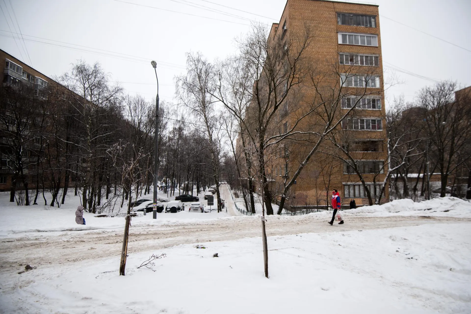 Пелагия Тихонова