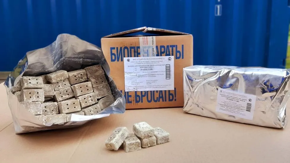 В лесах Подмосковья разложат вакцину‑приманку для диких животных во избежание бешенства