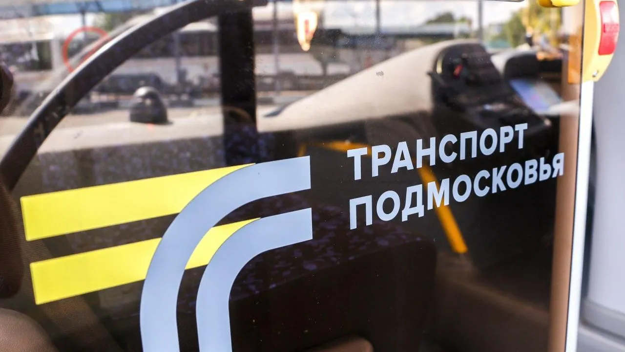 Выходные в Подмосковье на сапбордах: как добраться на автобусах до популярных мест