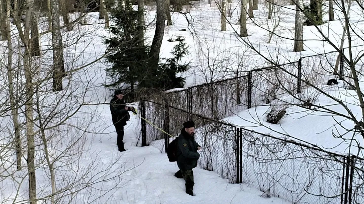 В Чехове выявили самовольный захват земель лесного фонда
