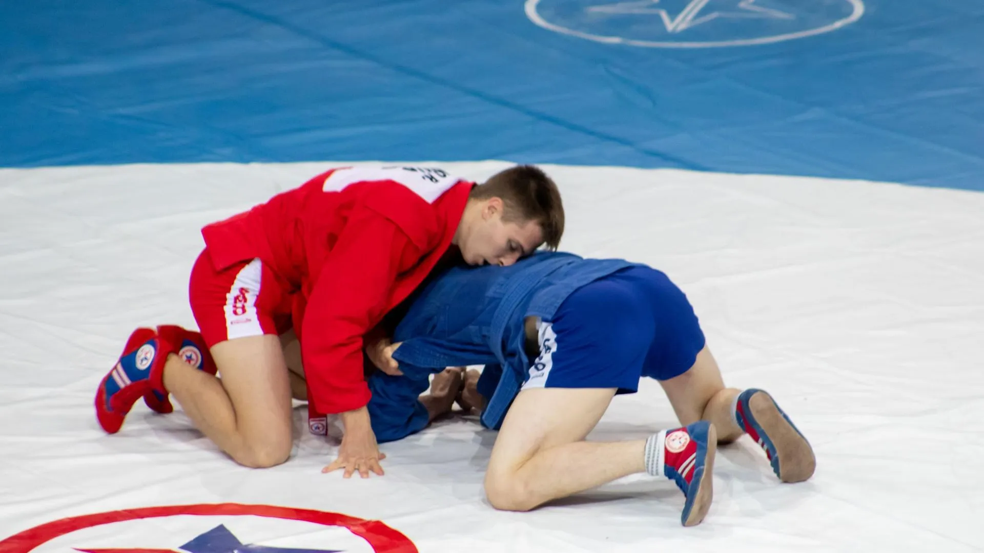 В Люберцах прошел региональный чемпионат по самбо