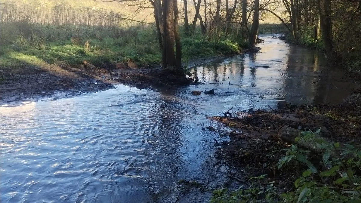 В рамках госпрограммы в Ленинском округе провели очистку двух водных объектов
