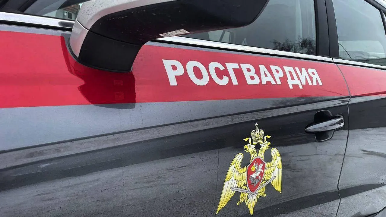 Росгвардейцы Подмосковья выезжали более 2,1 тыс раз по сигналам «Тревога» за неделю
