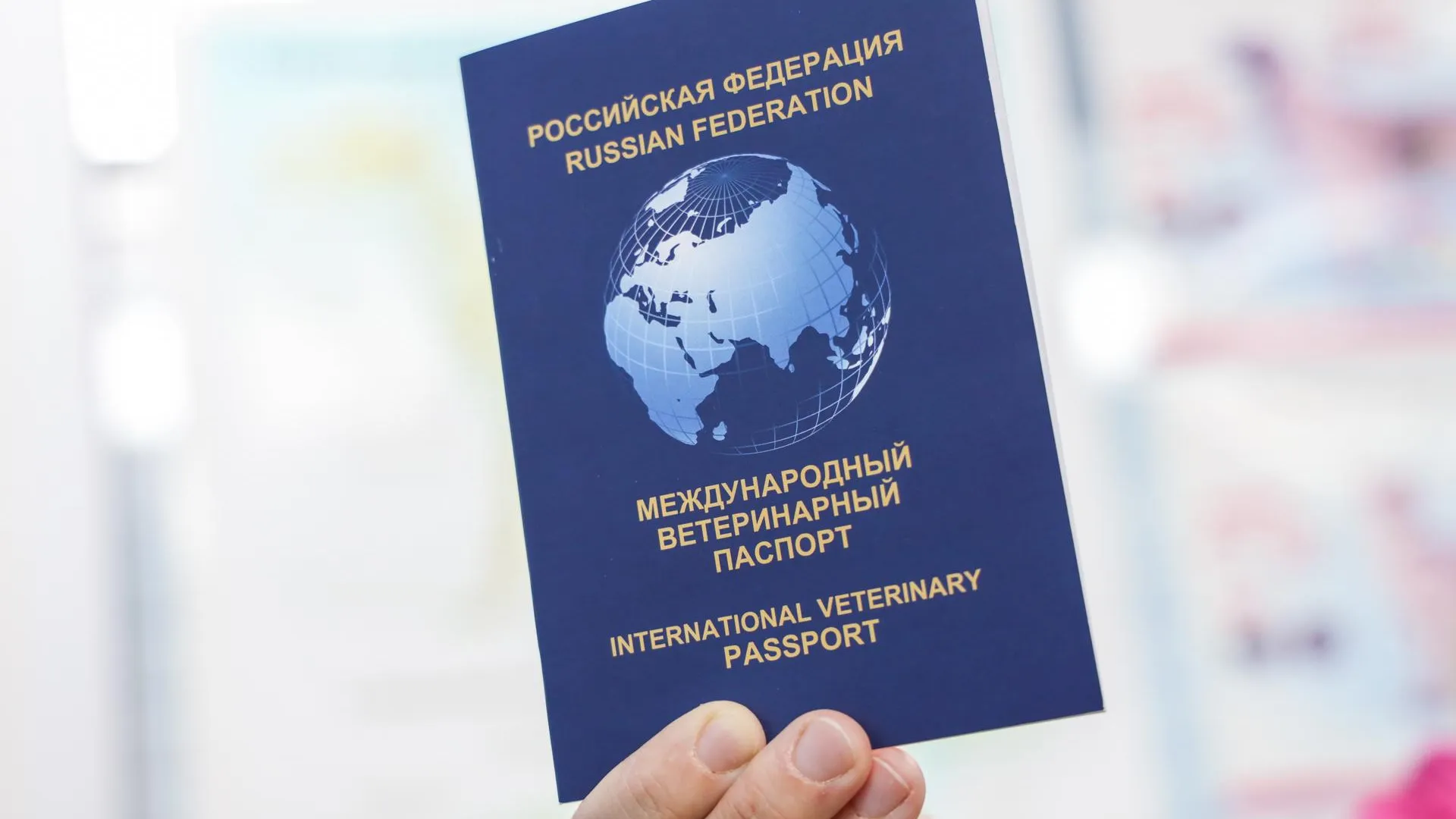 В Подмосковье запустили онлайн-консультации ветеринаров