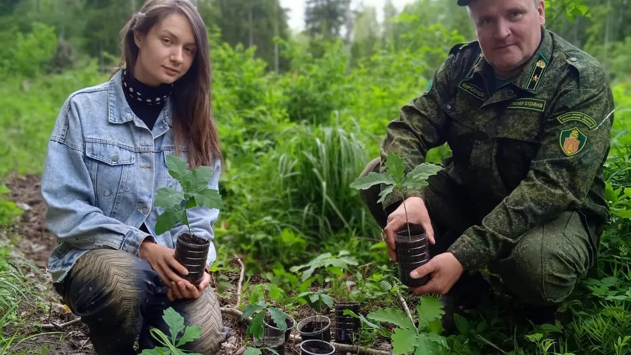 Акция «Восстановим дубравы вместе» проведена в городском округе Клин