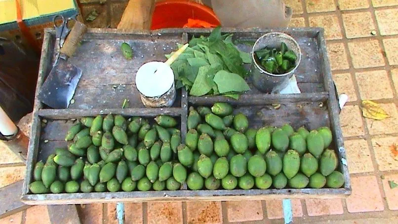 Анна Фродезиак — Собственная работа