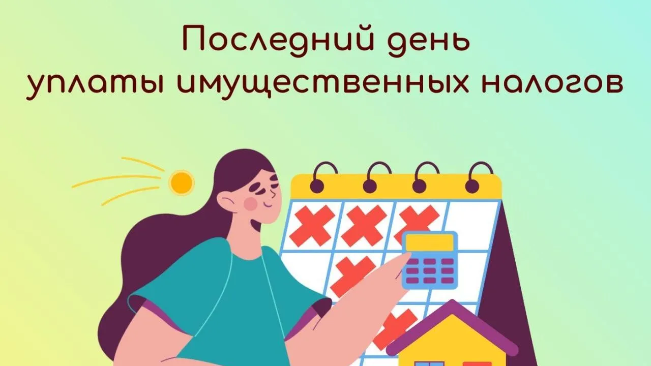 2 декабря истекает срок уплаты имущественных налогов в Подмосковье
