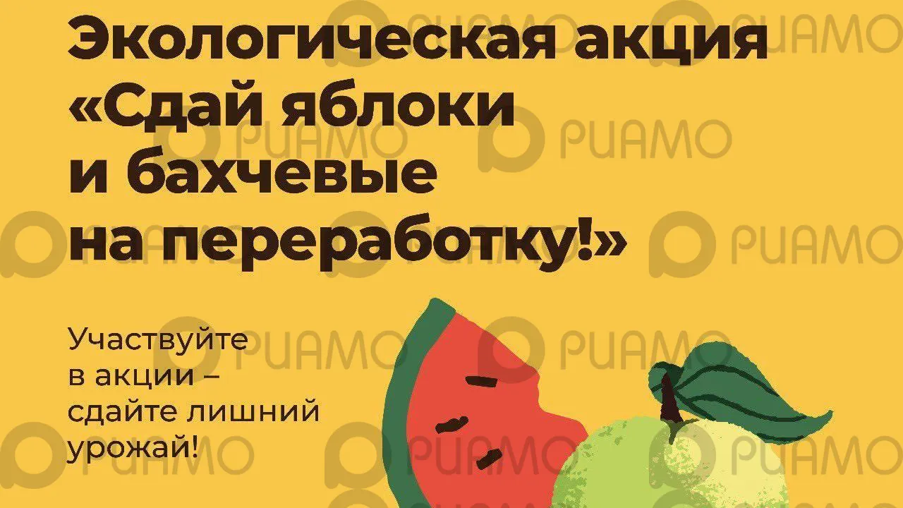 В Подмосковье стартует акция по сбору избыточного урожая яблок, арбузов и дынь