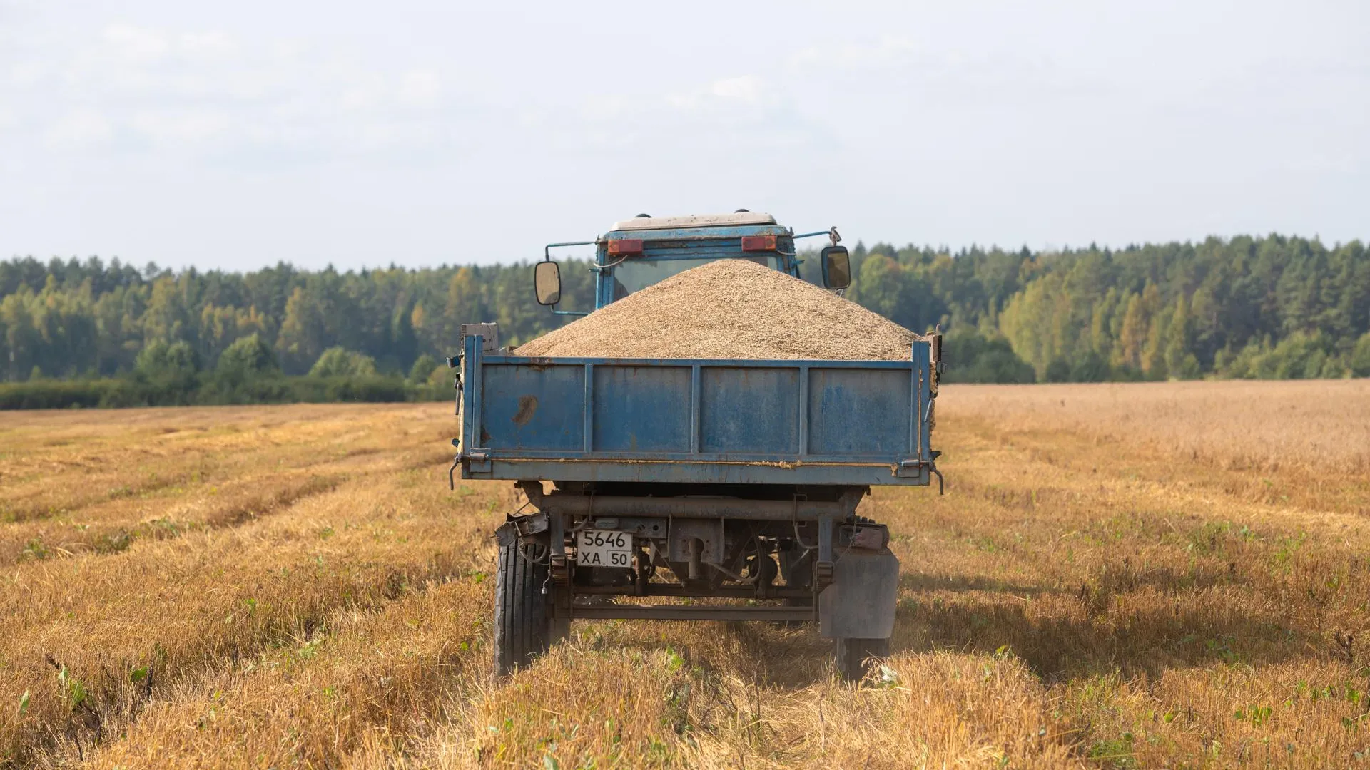 В Наро‑Фоминске 8 июля обсудят перспективы экспорта продукции АПК Подмосковья