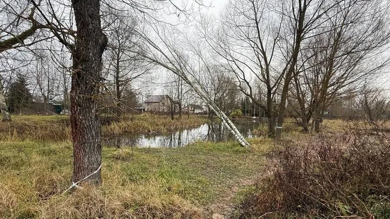 Минэкологии потребовало исключить риск для водного объекта в Ленинском округе