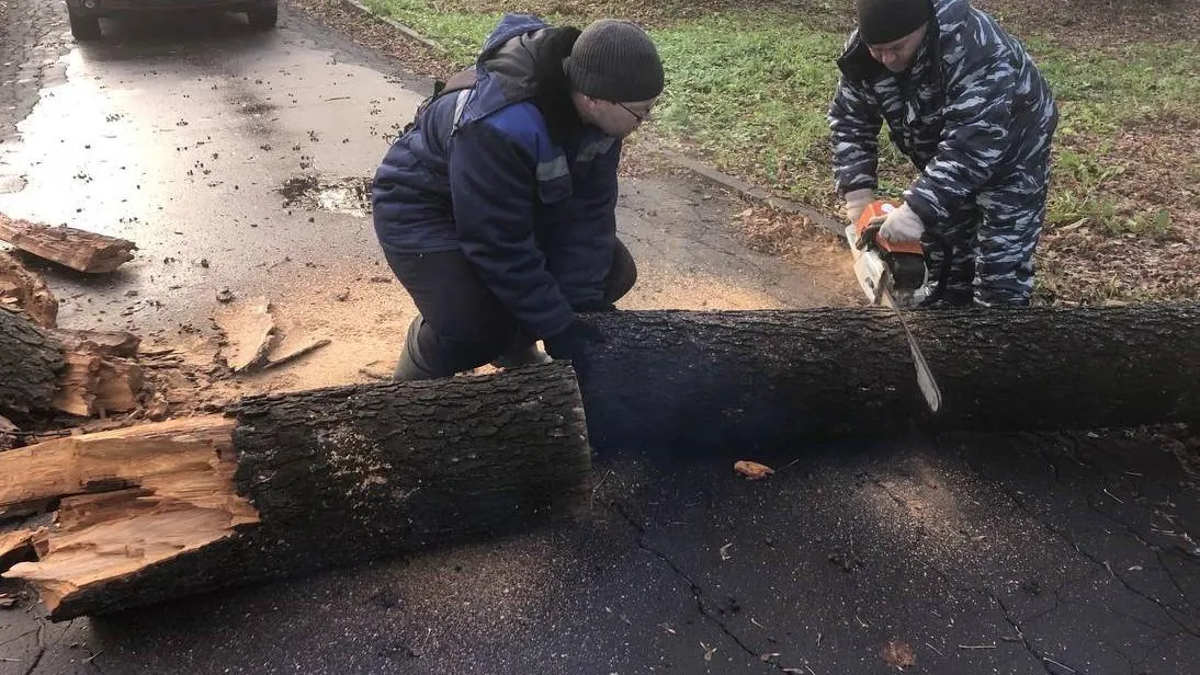 В округе Шатура устраняют последствия штормового ветра