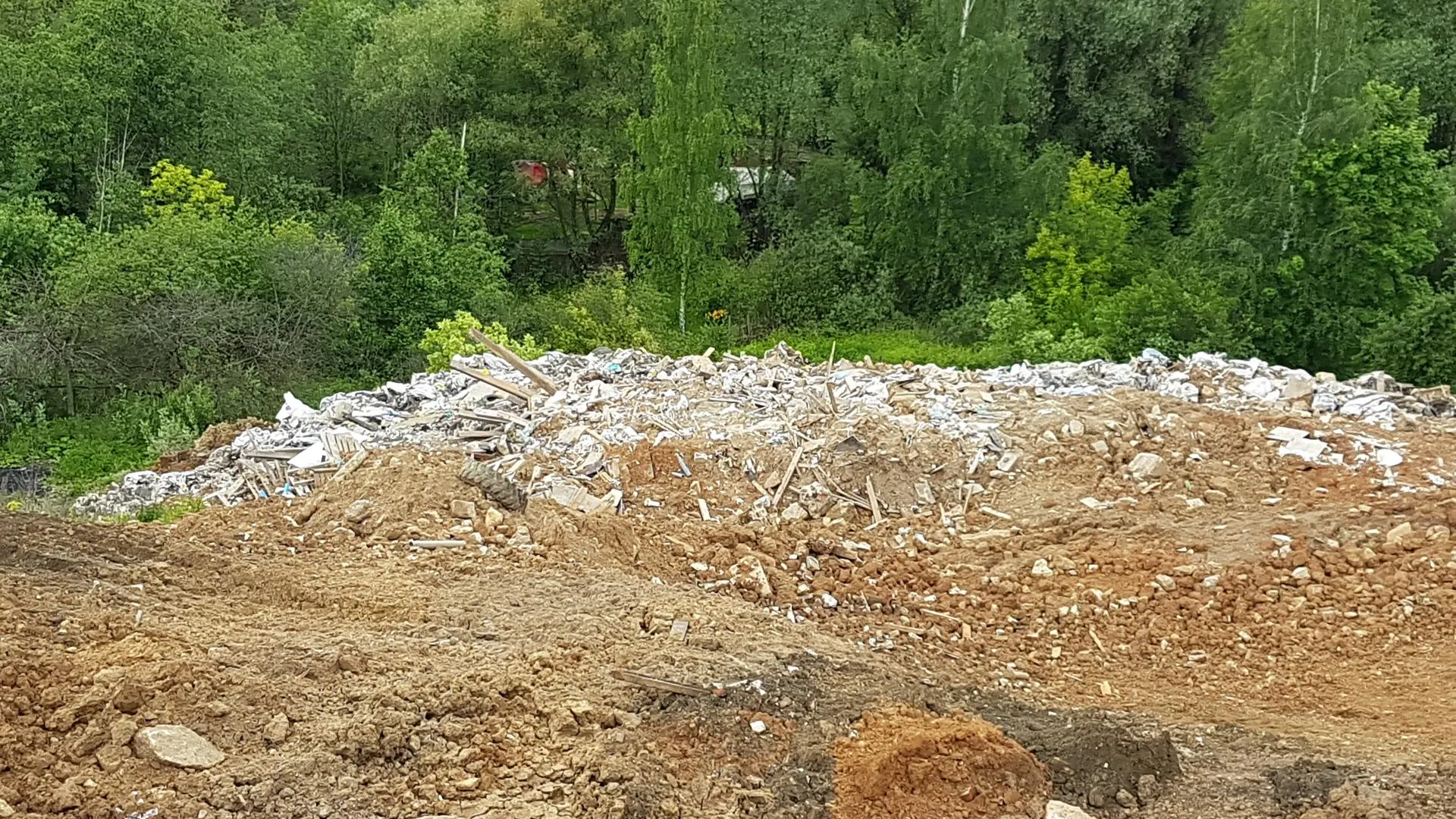 Сельхозпредприятие выплатит крупный штраф за засорение почв в Зарайске