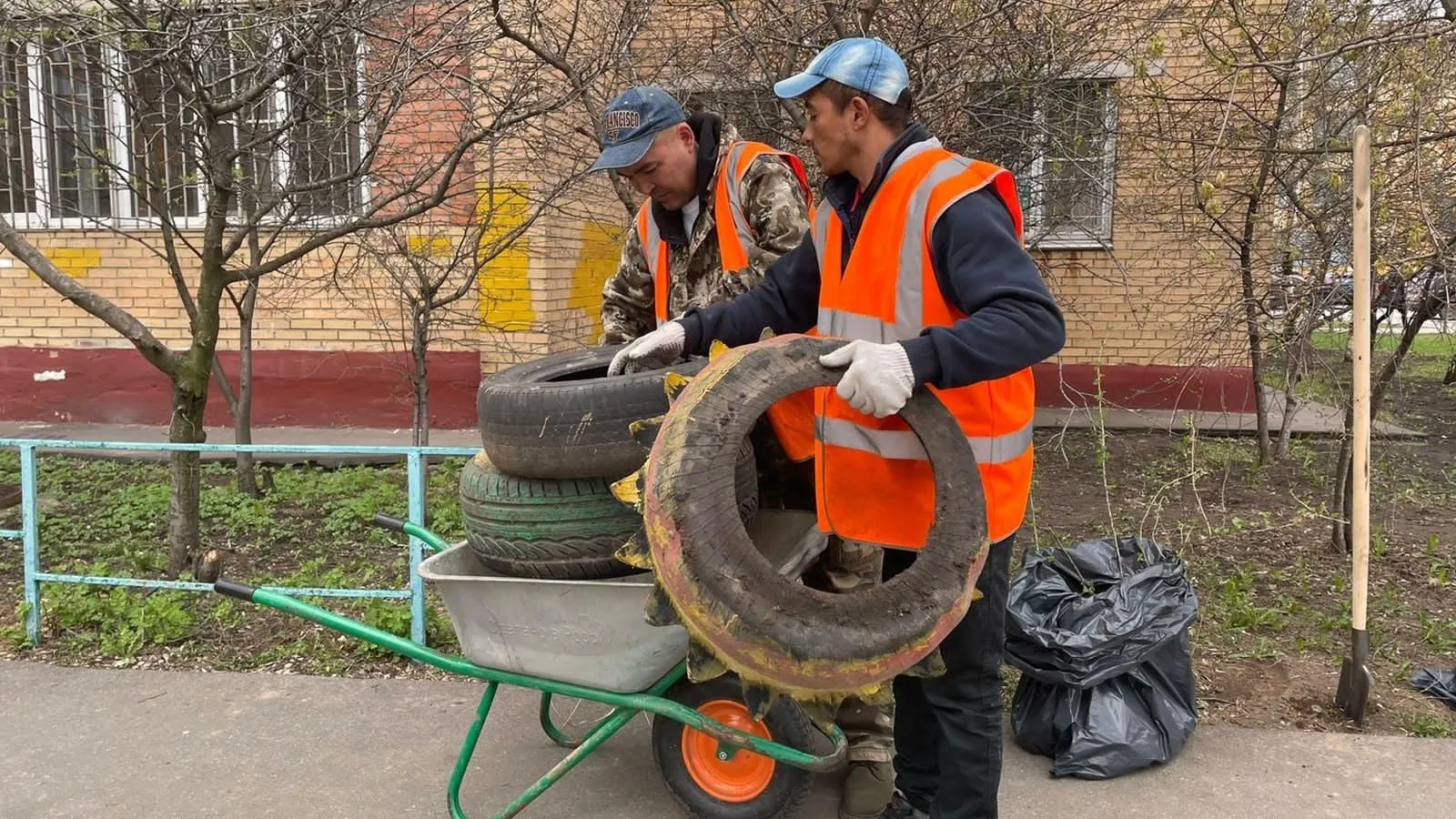 Жители Щелкова могут обменять на саженцы используемые в виде клумб старые шины