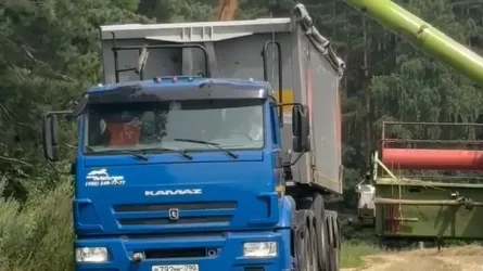 В округе Коломна начали жатву озимой пшеницы