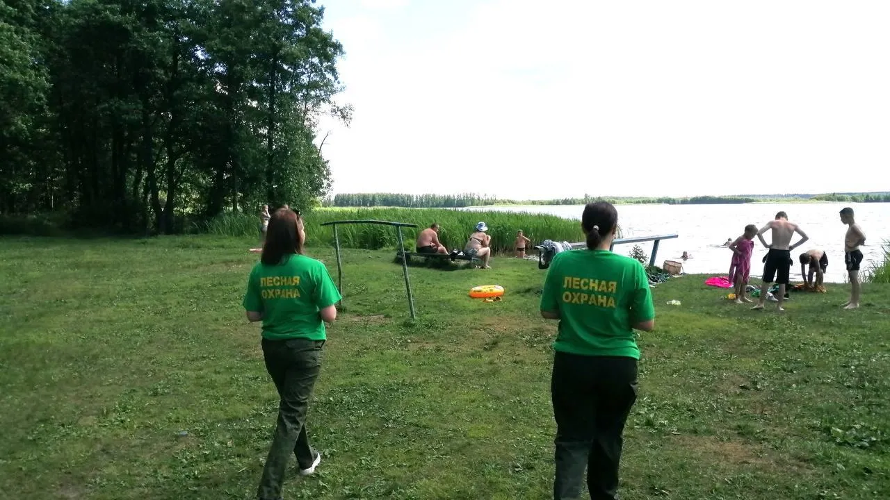 Свыше 3,5 тыс мероприятий с жителями провели специалисты лесной охраны Подмосковья