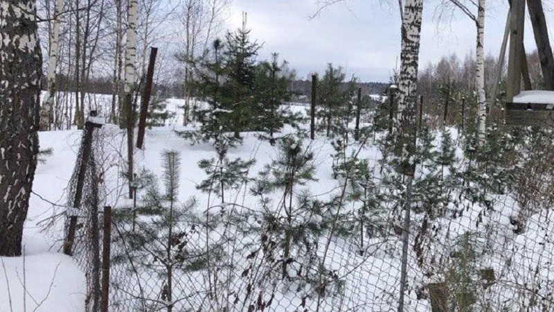 Земли в Раменском изымут из незаконной собственности