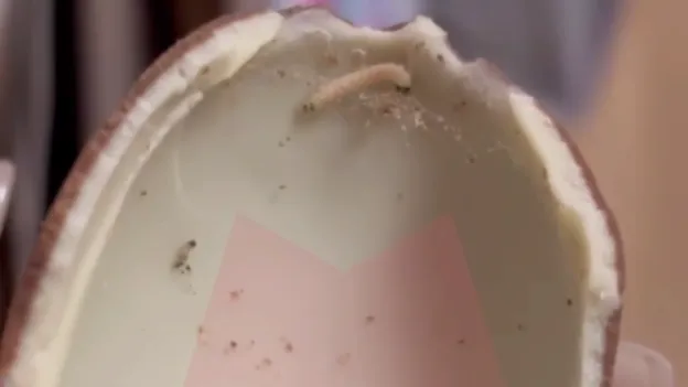 «Киндер сюрприз» с червем внутри купила молодая пара в Москве