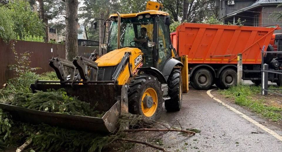 Более 200 поваленных ураганом деревьев убрали в поселке Люберец