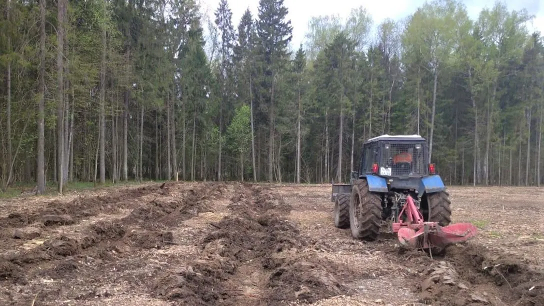 В Подмосковье завершены работы по подготовке почвы к акции «Лес Победы»