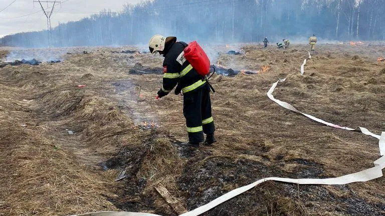 Огнеборцы Подольска дважды за сутки выезжали на тушение пала травы