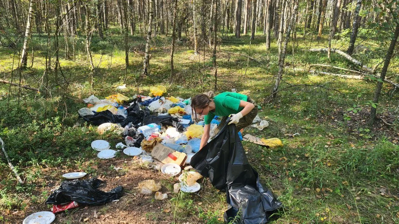 В Подмосковье за нарушения безопасности в лесах выписаны штрафы 5,3 млн руб