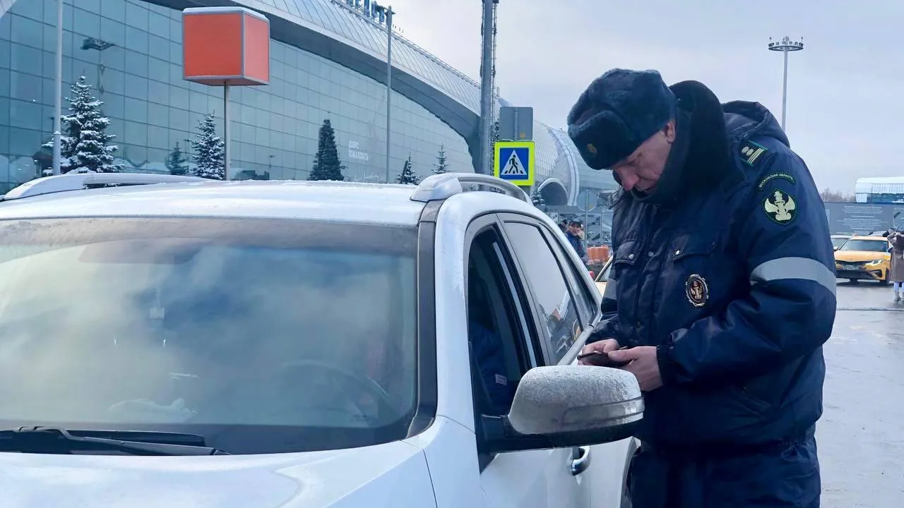 Почти 360 нелегальных такси выявили рядом с аэропортами Шереметьево и Домодедово